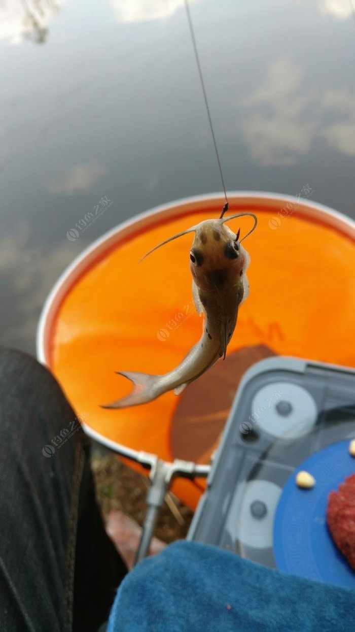 釣魚水庫附近免費釣魚地點_附近免費釣魚的水庫_釣魚水庫附近免費釣魚地方