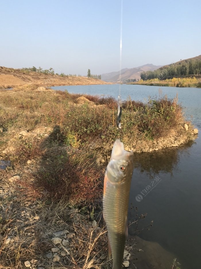 付近釣魚水庫_附近免費釣魚的水庫_附近水庫釣魚收費標準
