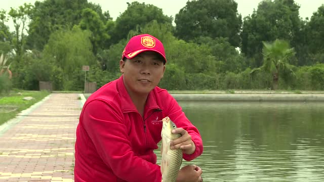 釣魚上海違法舉報電話_釣魚上海違法舉報_上海釣魚違法嗎