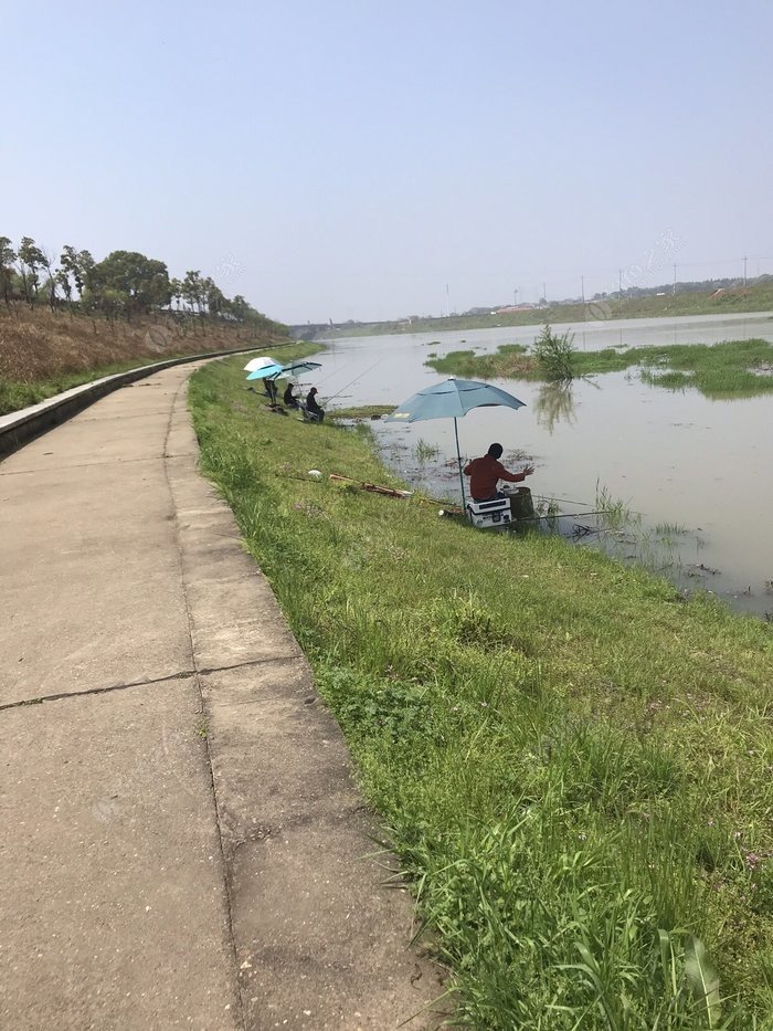 鐵力有漂流的地方嗎_鐵力有那些地方好釣魚_鐵力市野釣地點