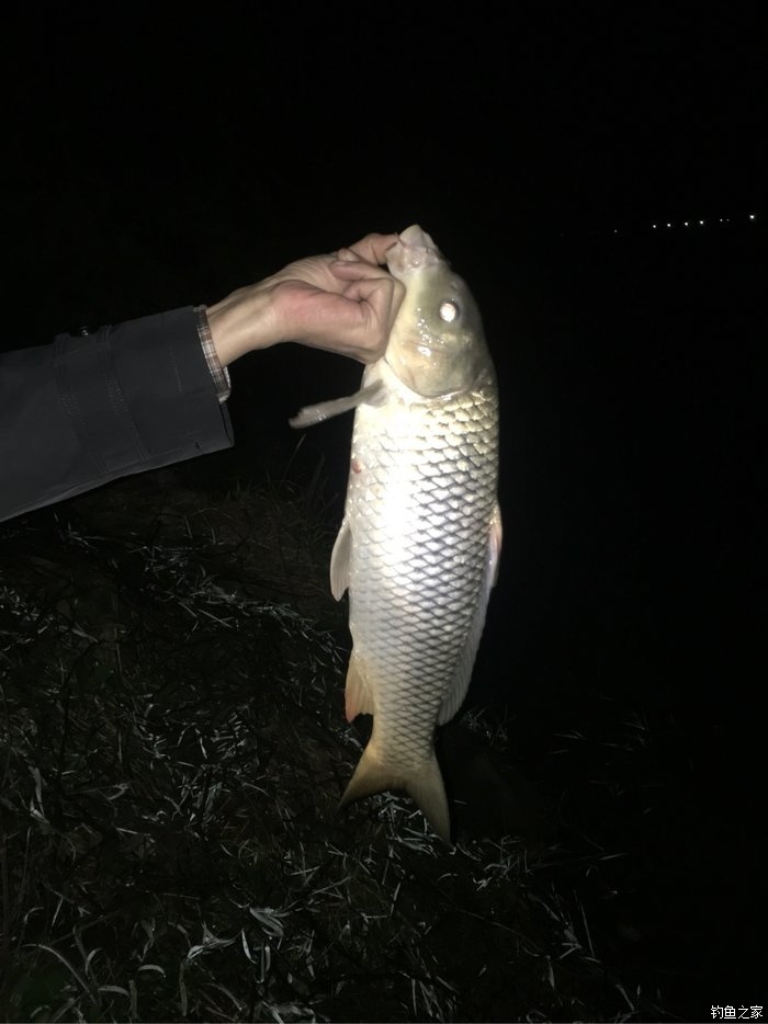 武漢水庫釣魚地點_釣魚水庫武漢地點有哪些_武漢野釣水庫