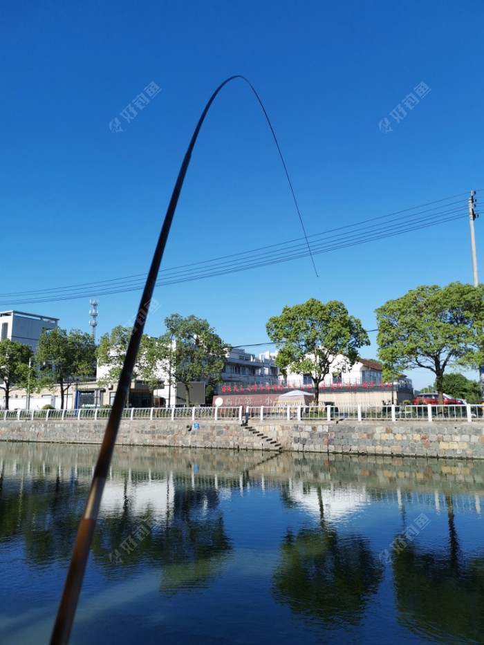 付近野釣_附近野釣魚點查詢_附近釣魚野釣地點大全