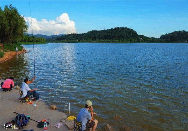 附近釣魚野釣地點大全_付近野釣_附近野釣魚點查詢
