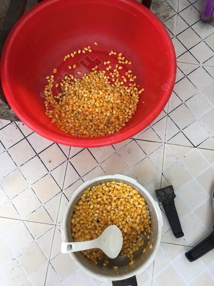 釣秋天配方餌料草魚怎么配_釣秋天配方餌料草魚怎么搭配_秋天釣草魚餌料配方