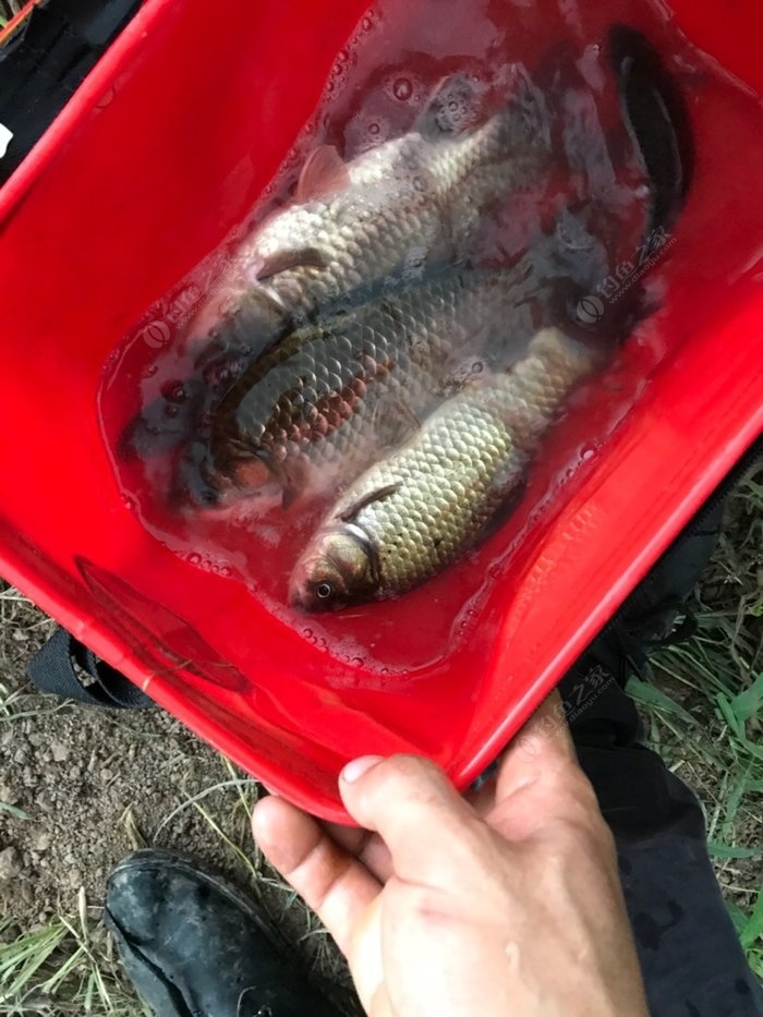 附近釣魚野釣地點大全_附近野釣魚點查詢_付近野釣