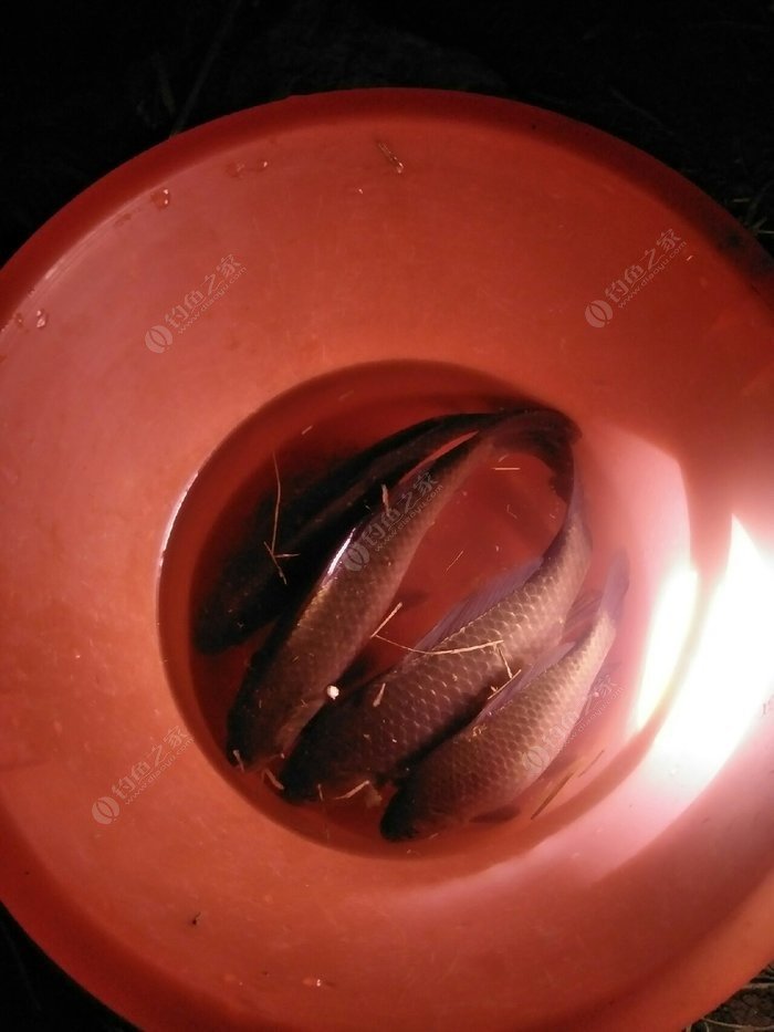 付近野釣_附近釣魚野釣地點大全_附近野釣魚點查詢