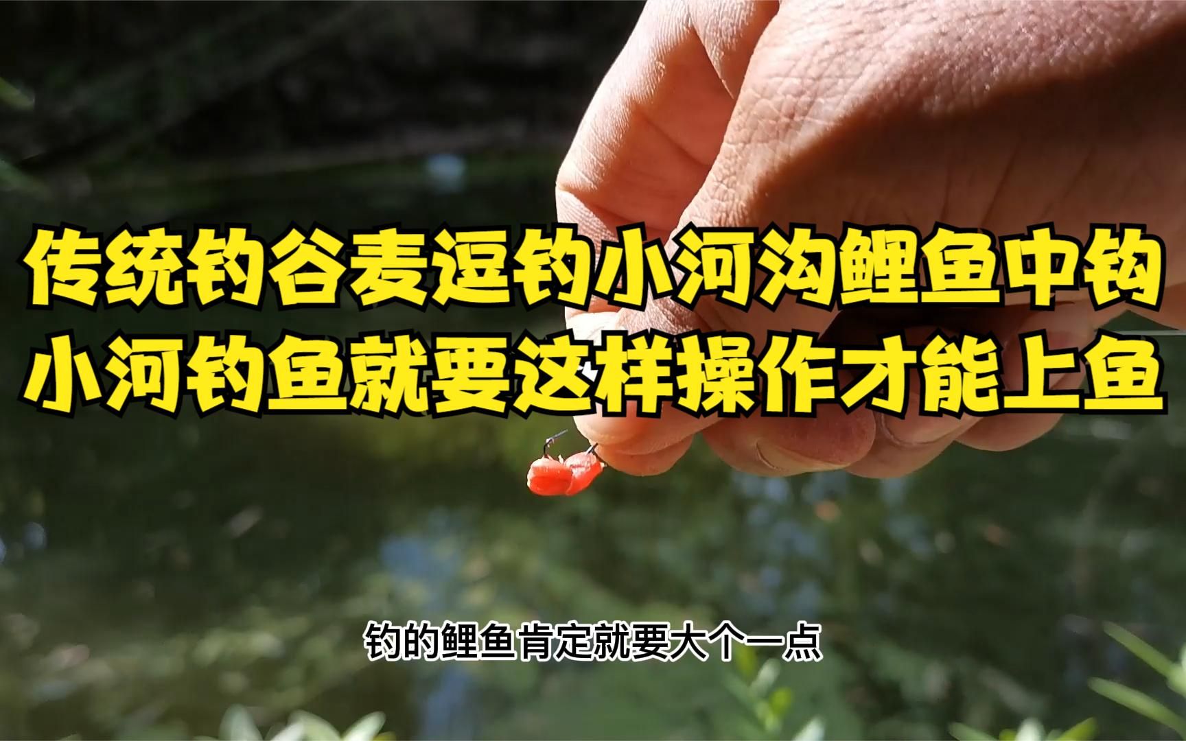 釣草魚魚鉤選擇_釣草魚用什么勾幾號的_釣草魚用幾號鉤子合適