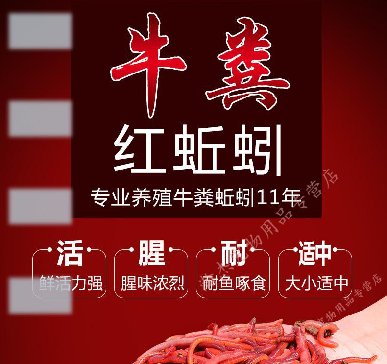 錦鯉魚飼料_錦鯉魚飼料的制作方法_錦鯉飼料配方及制作過程