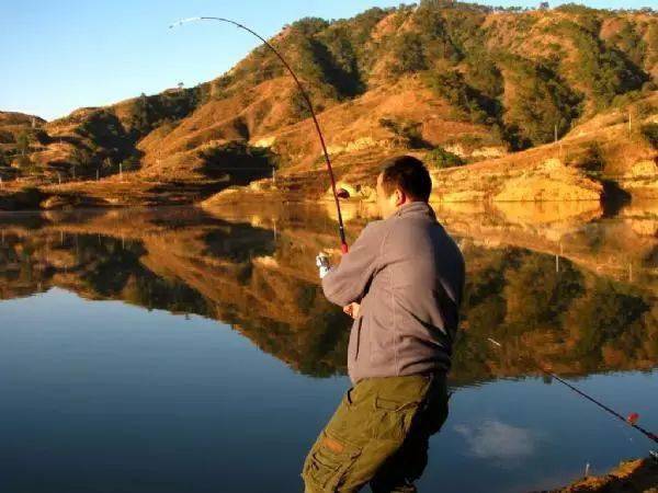 釣草魚用幾號鉤子合適_釣鉤子合適草魚號用什么餌料_釣草魚魚鉤選擇