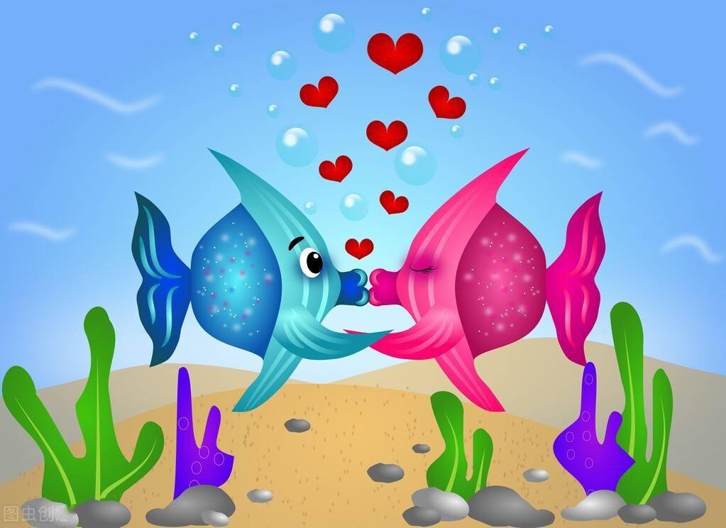 接吻魚屬于什么魚_接吻魚叫什么名字_魚接吻是什么意思