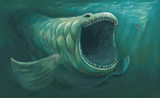 魚死了會下沉嗎_魚死了會沉下去嘛_魚會裝死嗎