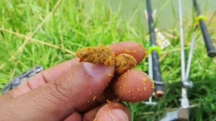 釣魚技巧手桿視頻教程_釣魚技巧手桿圖解_手桿釣魚技巧
