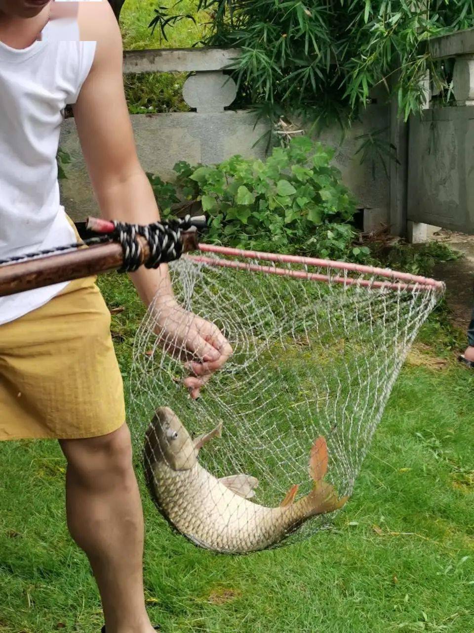 路亞活餌泥鰍釣法技巧有哪些_泥鰍路亞釣魚視頻_路亞怎樣用泥鰍作餌