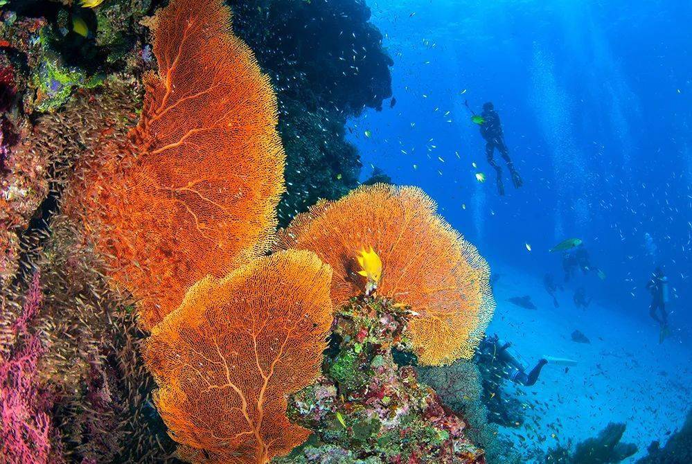 三亞海釣地點推薦_三亞地點推薦海釣魚場_三亞地點推薦海釣地方