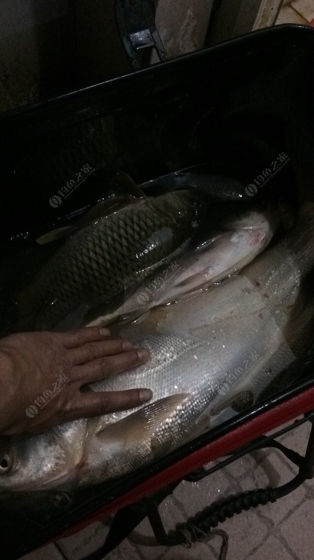 釣大魚漂太小怎么搞_釣魚看漂游戲大魚攻略_釣大魚魚漂浮力選擇