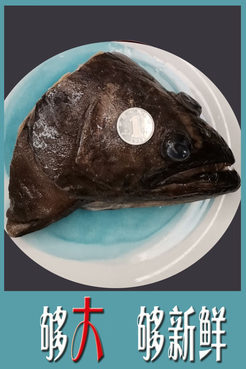 鱸魚是海的還是河的_鱸魚是海魚是河魚_海鱸魚是什么魚