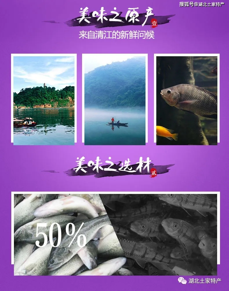 鱸魚是海的還是河的_鱸魚是海水_海鱸魚是什么魚