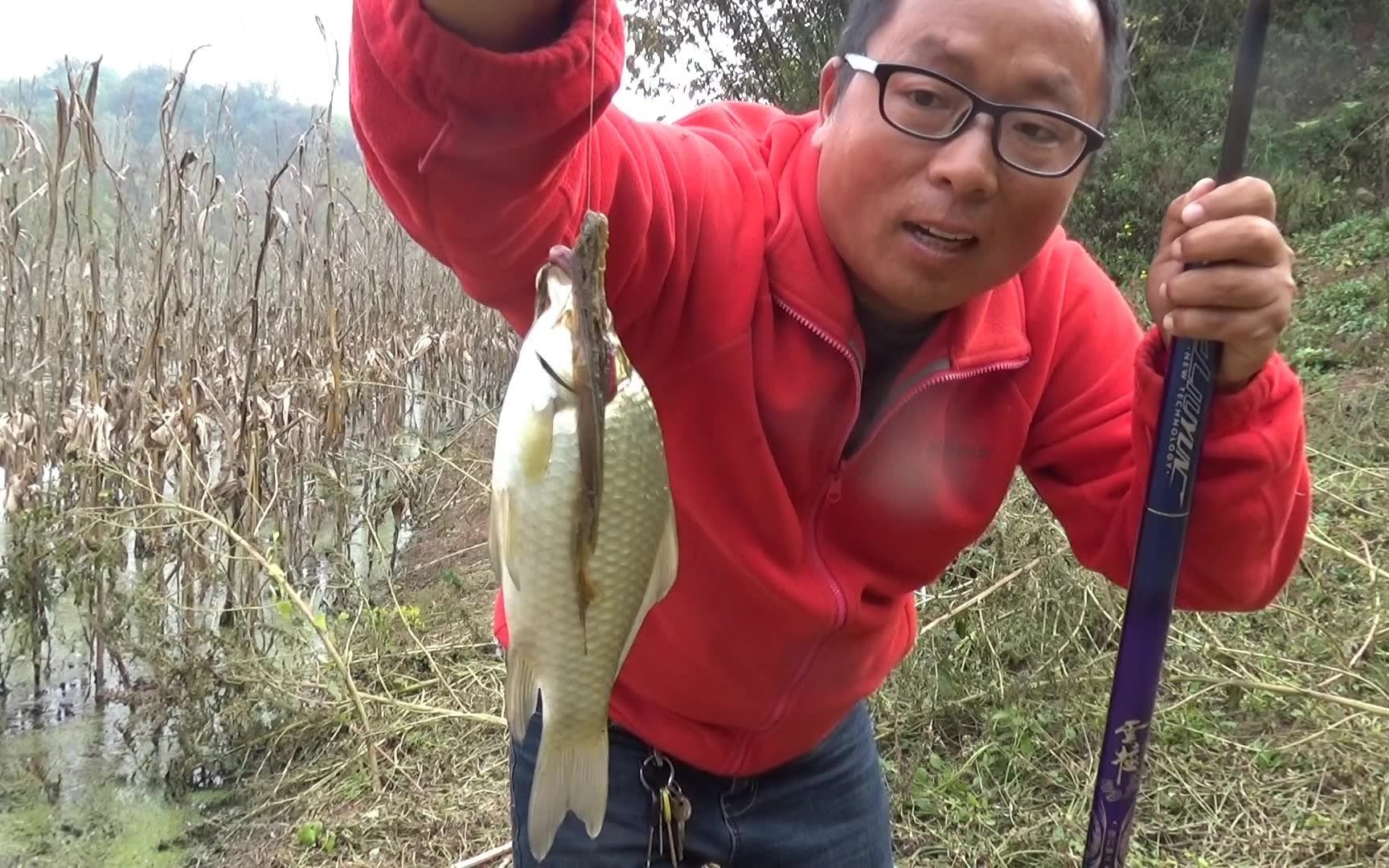 玉米釣草魚怎么泡制_泡玉米釣草魚餌料配方大全_自己泡玉米釣草魚
