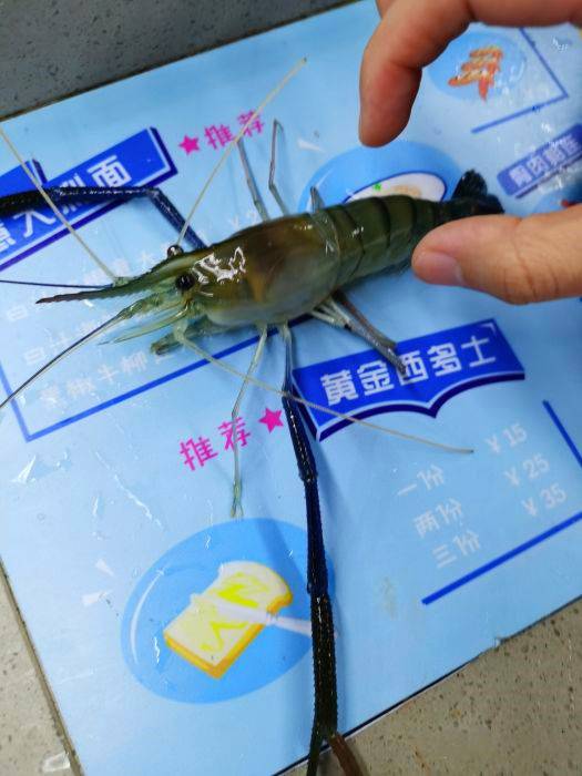 海釣時候的魚餌，僅供參考！！（收藏版）