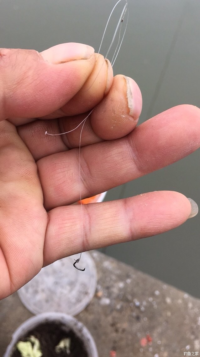 釣魚魚竿魚線綁法_魚線綁竿怎么綁_魚線和魚竿的綁法