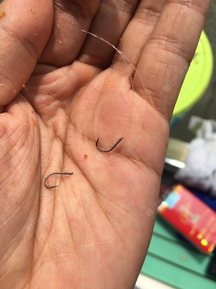 釣魚魚竿魚線綁法_魚線和魚竿的綁法_魚線綁竿怎么綁