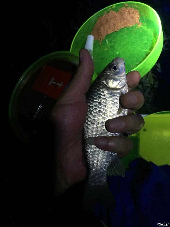 釣鯽魚拉絲粉用多少目的好_釣鯽魚餌料配方拉絲粉_拉絲粉釣鯽魚拉餌多少目比較好