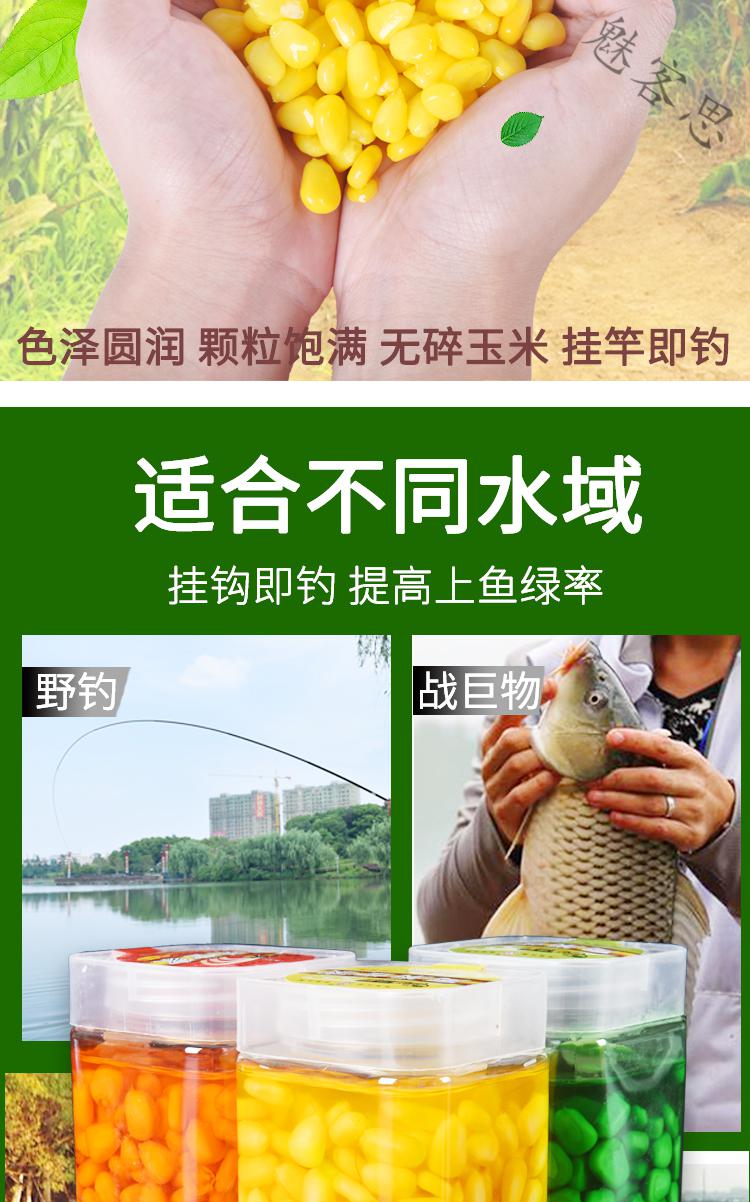自制秘方鯽魚魚餌視頻_自制鯽魚魚餌秘方_自制秘方鯽魚魚餌怎么做