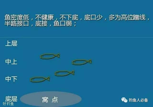 釣大魚魚漂浮力選擇_釣魚看漂游戲大魚攻略_釣大魚漂相視頻