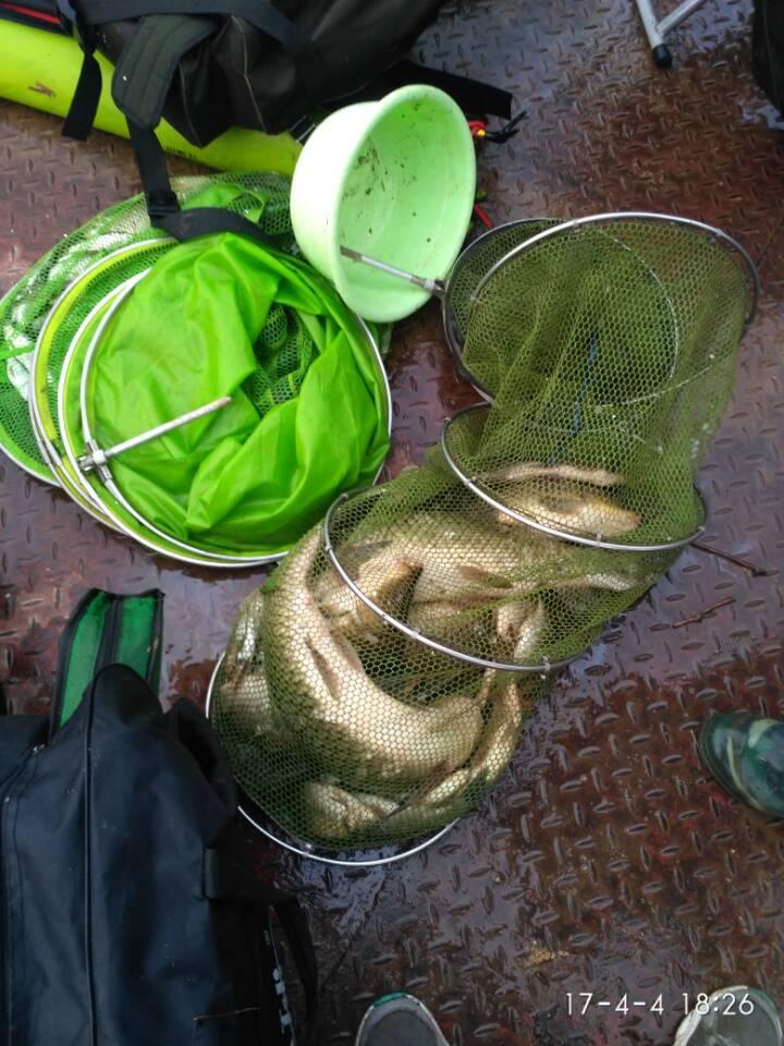 黑坑釣草魚餌料配方及其小藥_黑坑釣草魚小藥怎么配_黑坑釣草魚餌料配方大全
