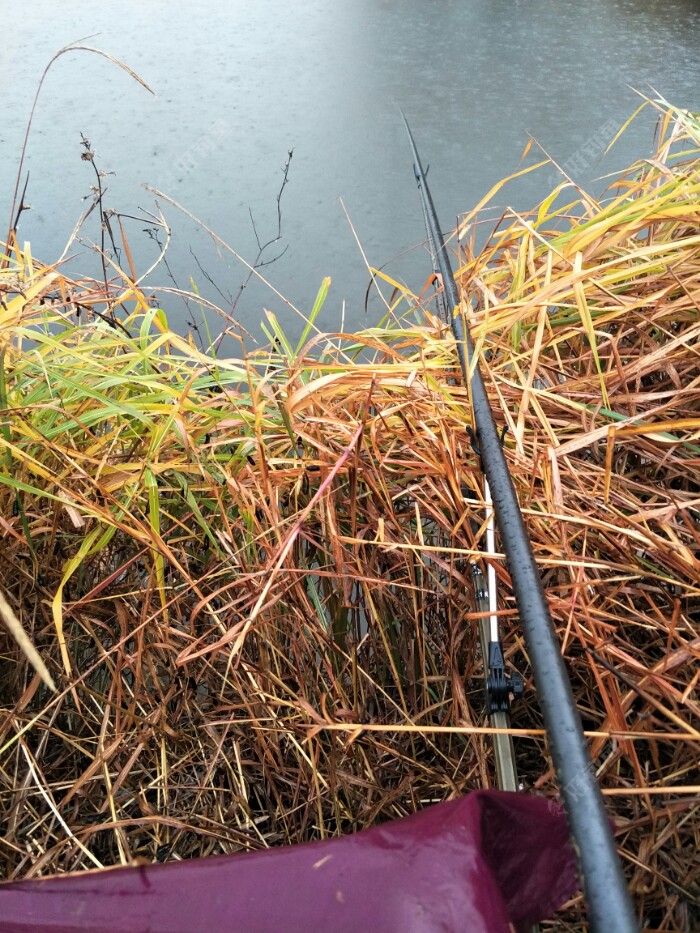 路亞是釣什么的_釣魚人說的路亞是什么意思_路亞是釣什么魚的釣魚知識