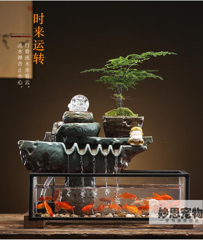 家中養魚大風水禁忌_家里養魚在風水學里有什么講究_家中養魚6大風水禁忌