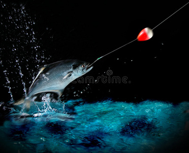釣魚看漂游戲調漂_釣魚游戲看漂釣魚_釣魚看漂游戲等級怎么算