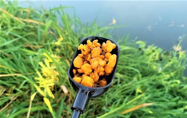 釣魚玉米面餌制作方法_釣魚玉米面制作秘方_玉米面釣魚