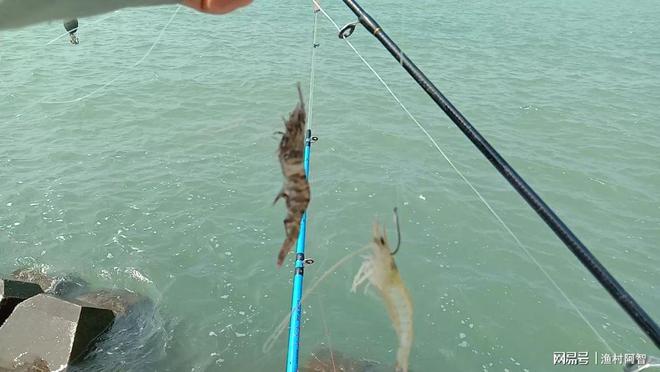 釣魚看漂游戲等級怎么算_釣魚游戲看漂釣魚_釣魚看漂游戲調漂