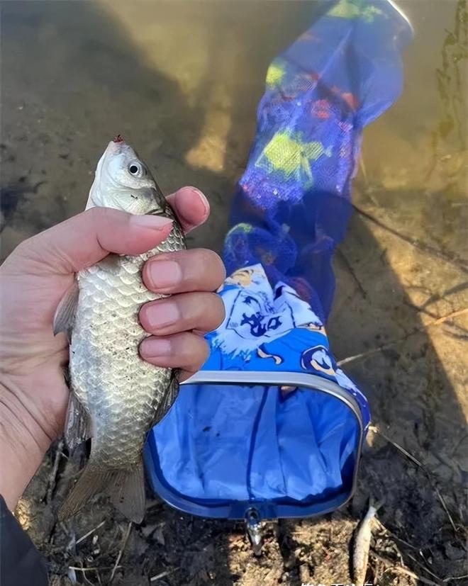 化紹新釣魚視頻野釣直播視頻_現場釣魚視頻直播_釣魚視頻野釣直播視頻實戰