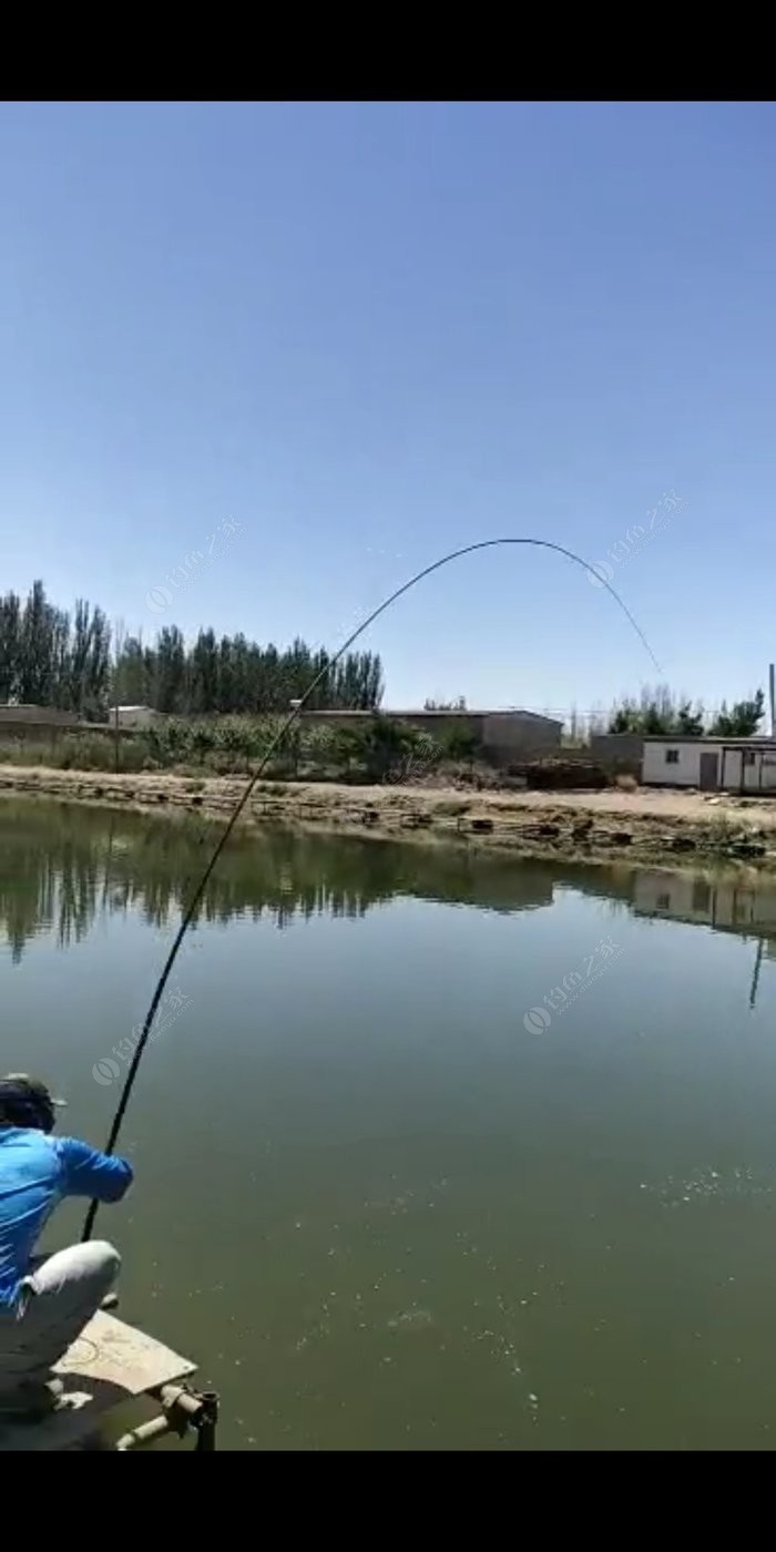 釣多長鯽魚魚竿好比較用呢_釣鯽魚用多長的魚竿比較好_釣鯽魚多長的竿好