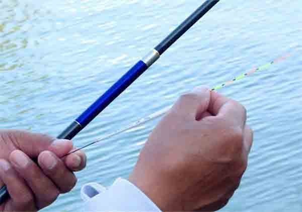 野釣鯽魚用漂_釣鯽魚用什么漂最好_釣鯽魚用那種漂好使