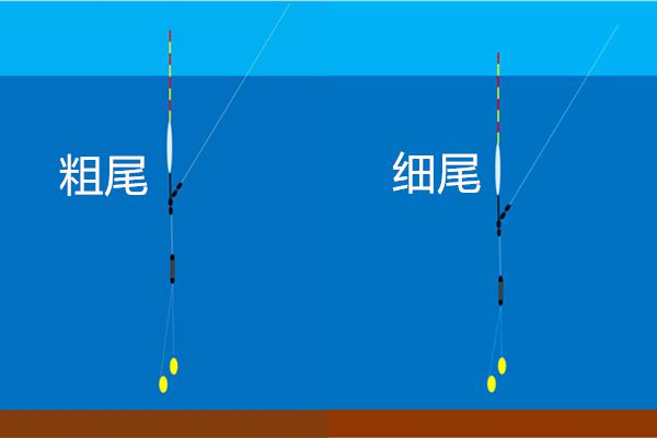 釣鯽魚多大的漂_釣鯽魚用多大的浮漂_釣鯽魚多大浮漂合適