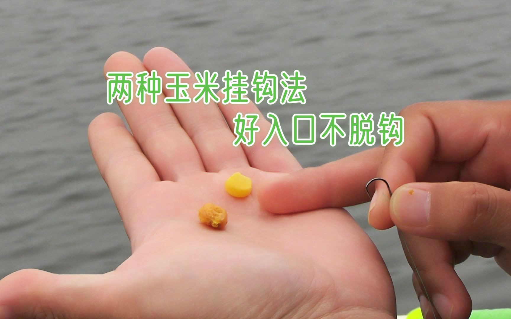 釣草魚配方絕密_釣草魚的料怎么配_釣草魚配方絕密