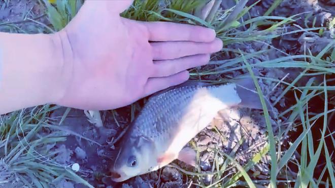 上海哪兒可以釣魚_上海釣魚網野釣好去處_上海去哪釣魚