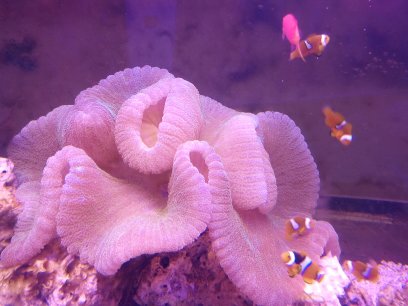 上海哪兒可以釣魚_上海去哪釣魚_上海釣魚網野釣好去處