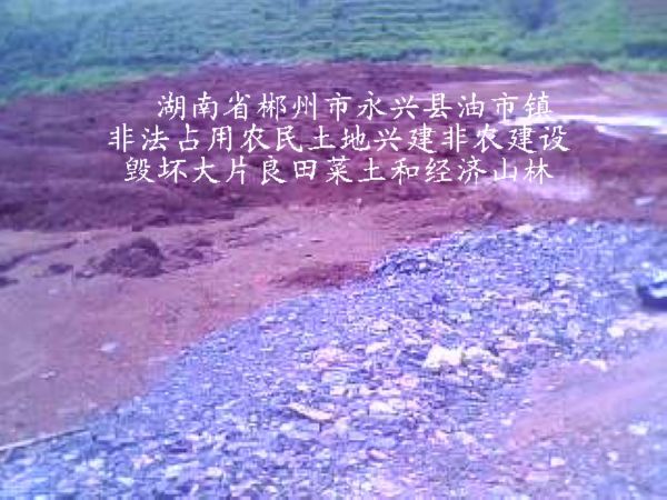 汾陽釣魚網_汾陽哪里可以野釣_汾陽野釣魚哪里好