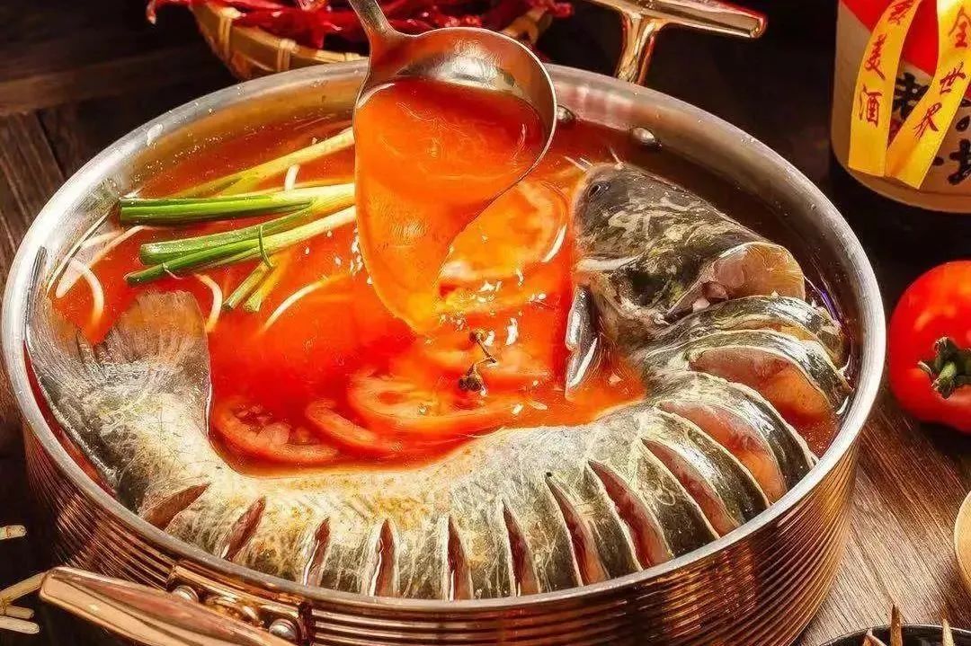 黃河鯉魚排名_黃河鯉魚品牌介紹_黃河鯉魚品牌