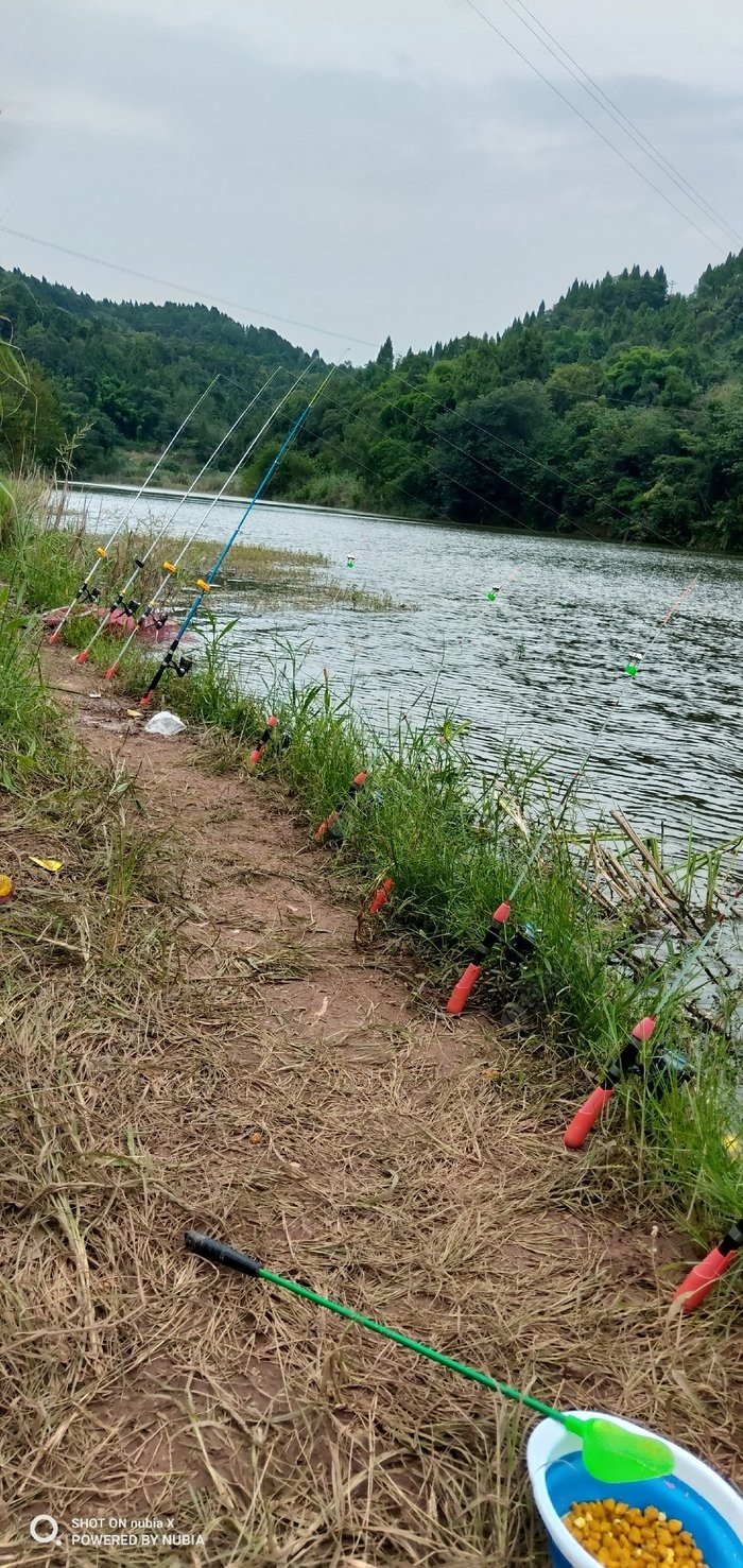水庫串鉤怎么用_串鉤水庫釣大魚視頻_水庫串鉤釣魚技巧