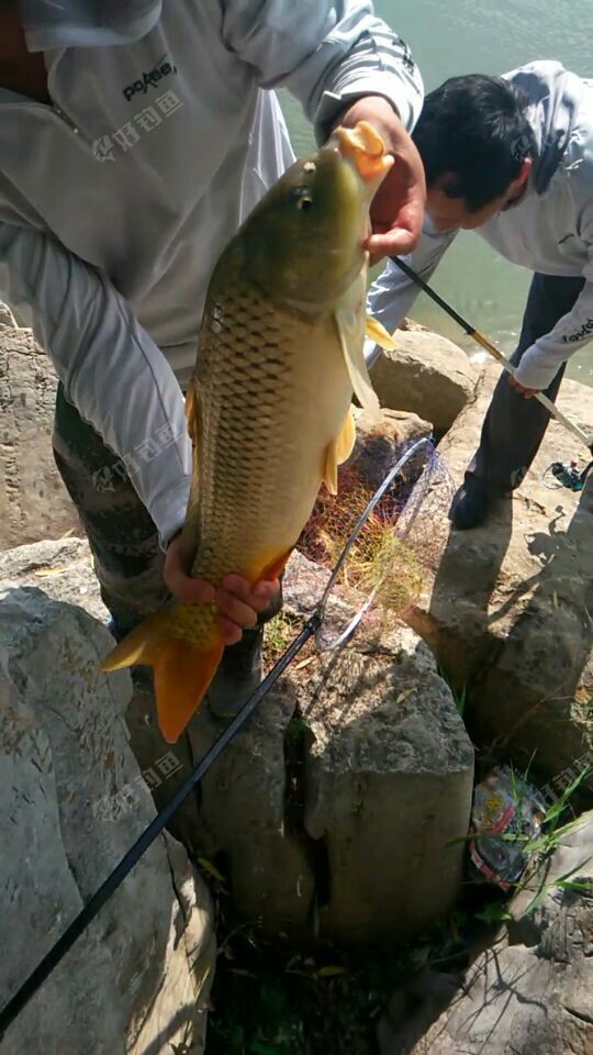 水庫串鉤怎么用_水庫串鉤釣魚技巧_串鉤水庫釣大魚視頻