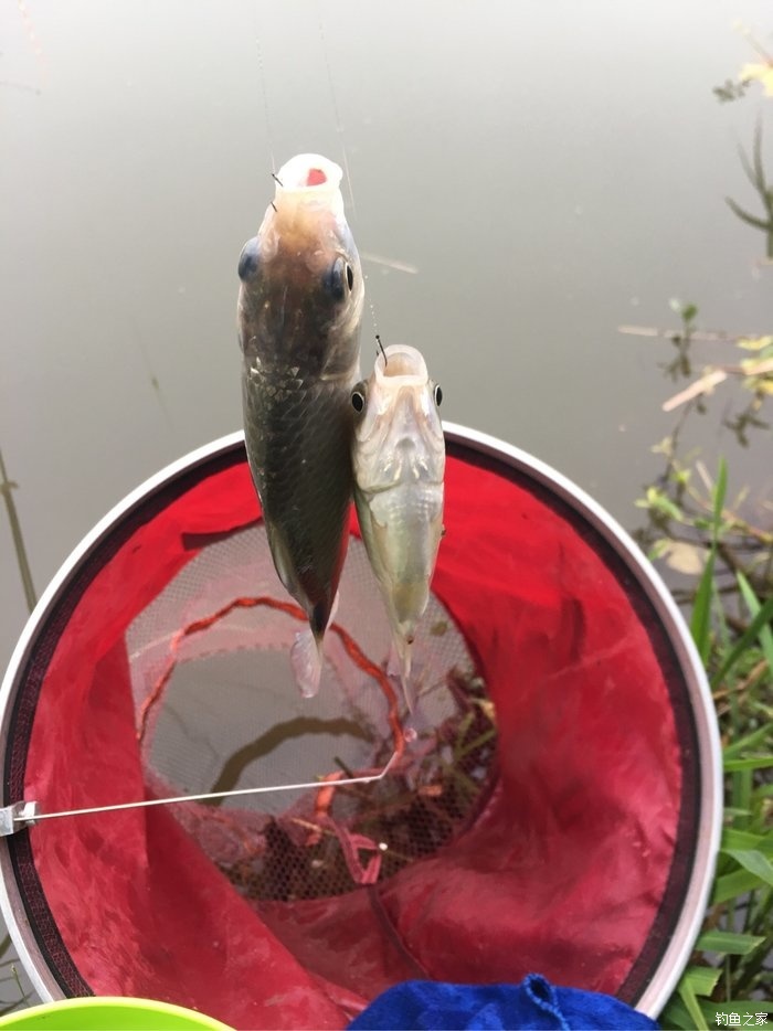 深海釣魚視頻直播_深海釣大魚視頻_深海釣魚視頻高清