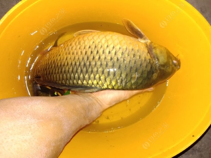 銅陵釣魚天氣精準確預報_銅陵釣魚網_銅陵釣場大全