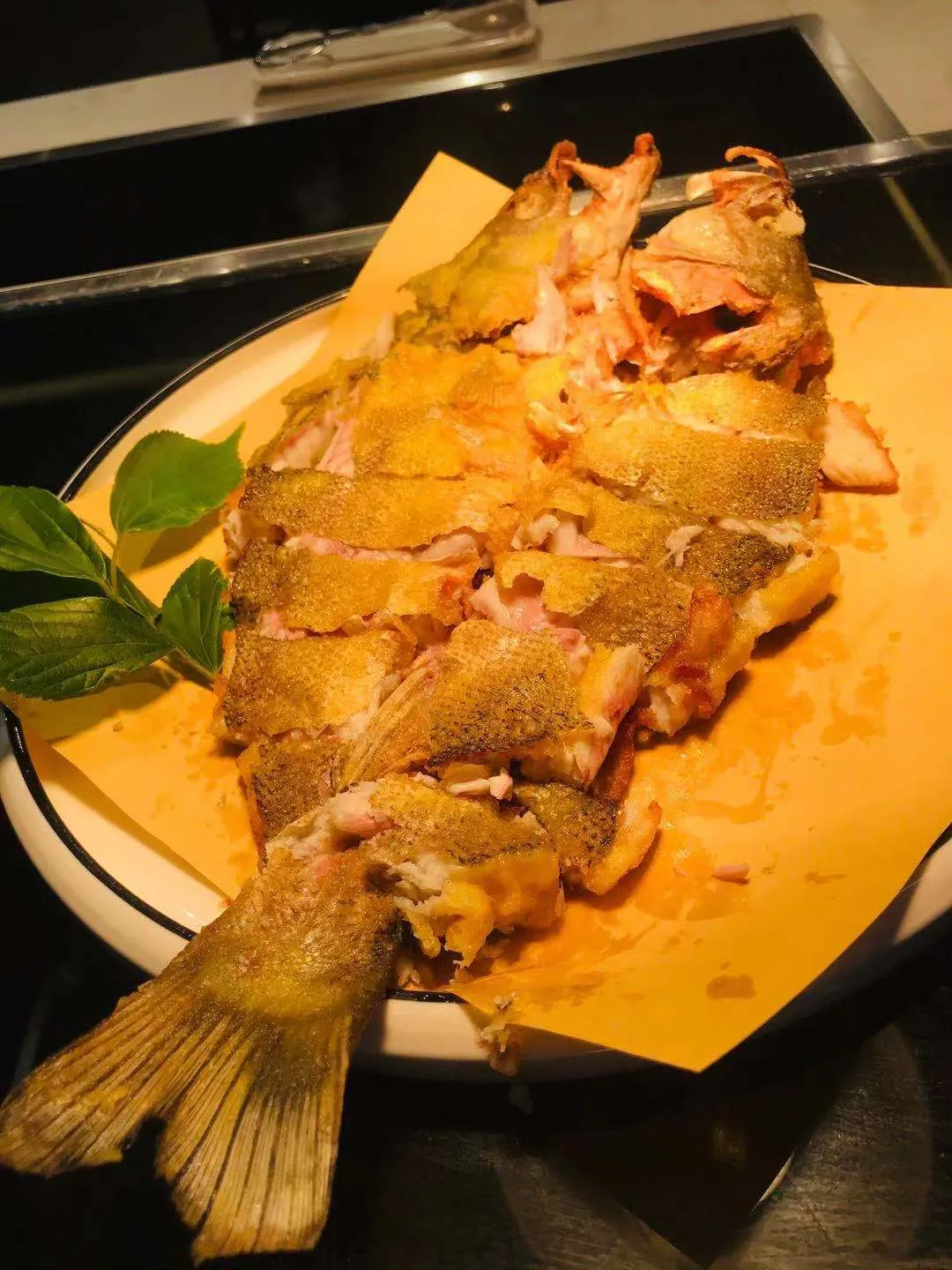 松江鱸魚是什么魚_松江鱸魚貴嗎_松江鱸魚還是保護魚類嗎