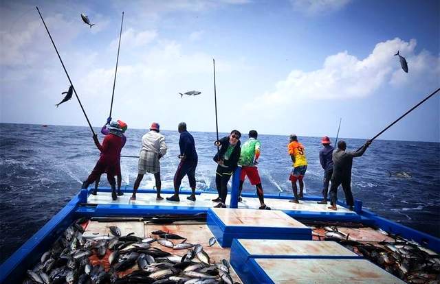 深海釣魚用什么魚線_釣魚深海魚線用多長的_深海釣魚線組