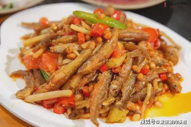 筍殼魚的殼怎么念_筍殼魚_筍殼魚是什么魚